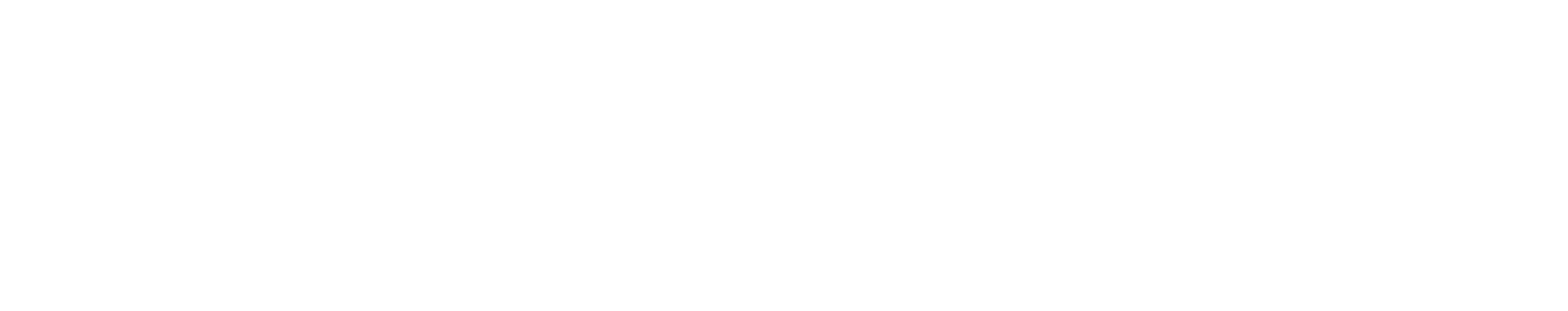 rvv.is